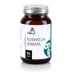 Boswellia Serrata, 90 kapslí