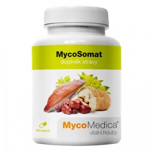 MycoSomat, 90 kapslí