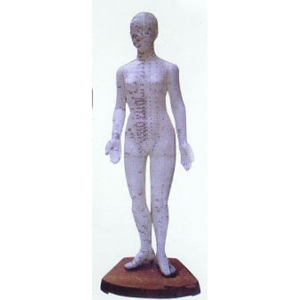 Akupunkturní model, žena 48 cm