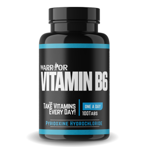 Vitamin B6 tablety 100 tab